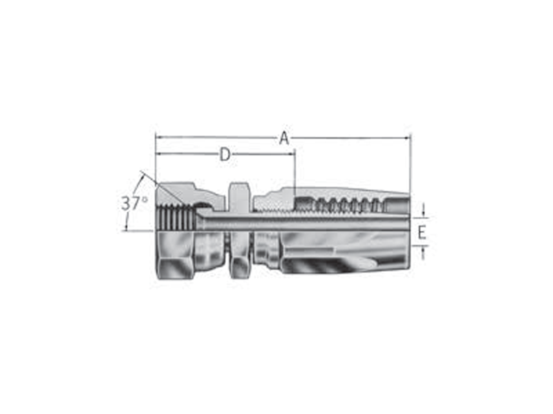Reusable Fittings - 100R1 TTC - SAE 37˚ (JIC) Swivel FC7988-