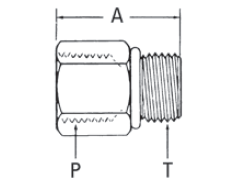 Internal Pipe/SAE O-Ring Boss - 2216 (VN) 